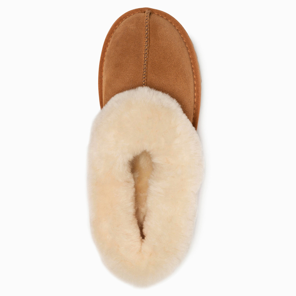 Collar Cow Suede UGG Slippers 5 OB665-C