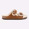 Chestnut
