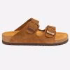 Chestnut
