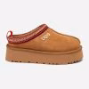 Chestnut-Red