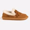 Chestnut