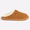 Chestnut
