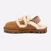 Chestnut