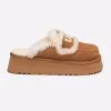 Chestnut