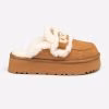 Chestnut