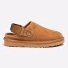 Chestnut