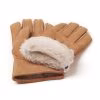Chestnut