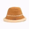 Chestnut