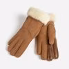 Chestnut