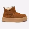 Chestnut