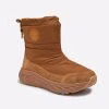 Chestnut