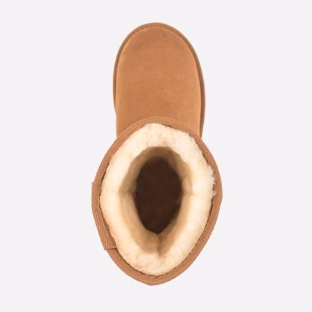 OB361-C
