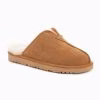 Chestnut