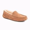 Chestnut