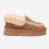 Chestnut