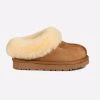 Chestnut