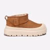 Chestnut-White