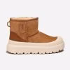 Chestnut-White
