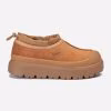 Chestnut