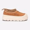 Chestnut-White