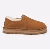 Chestnut