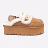 Chestnut