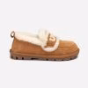Chestnut