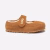 Chestnut