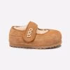 Chestnut