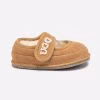 Chestnut
