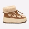 Chestnut